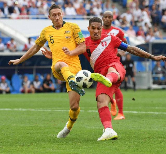 开云体育亚洲官网-美洲篮球锦标赛展开激烈角逐，胜者晋级