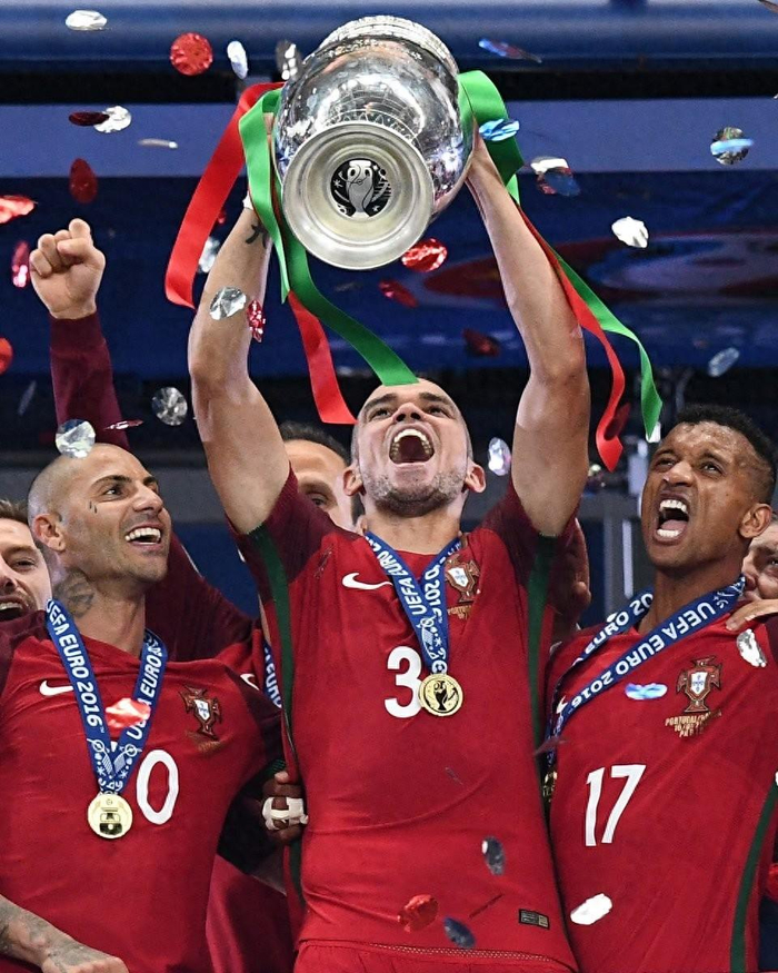 无敌国家队!成功夺得欧洲杯预选赛冠军!的简单介绍 无敌国家队!成功夺得欧洲杯预选赛冠军!的简单介绍