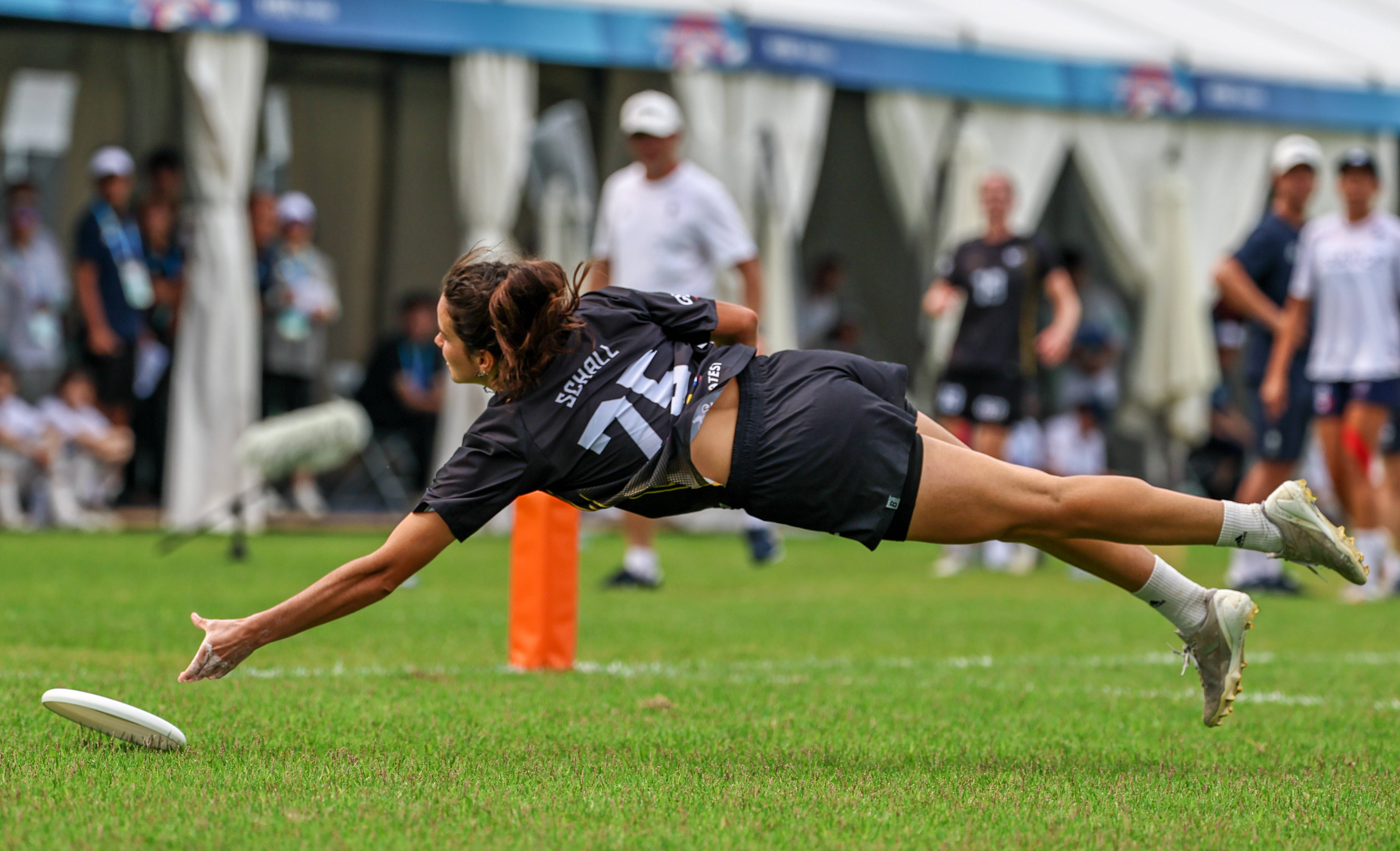 德国队在比赛中表现出色,获得铜牌 德国队在比赛中表现出色,获得铜牌